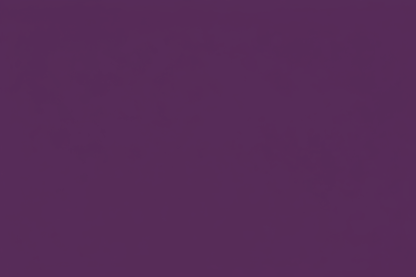 PURPLE COLOR SOLID